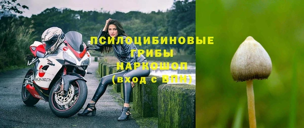 амф Арсеньев