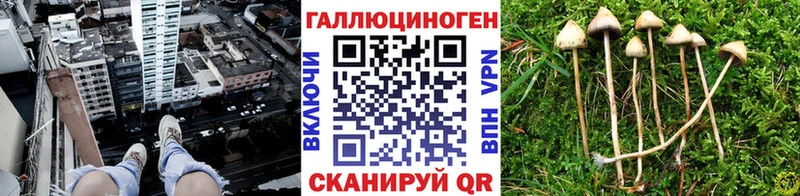 Галлюциногенные грибы прущие грибы  дарк нет телеграм  Боготол 
