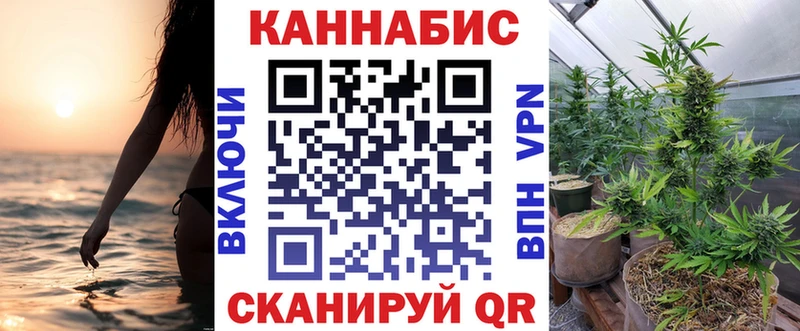 купить наркотики сайты  Боготол  Бошки Шишки Amnesia 